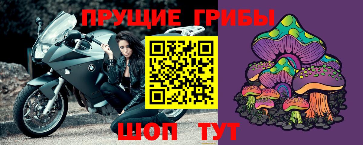 Псилоцибиновые грибы Cubensis  Вход с VPN  Фролово 