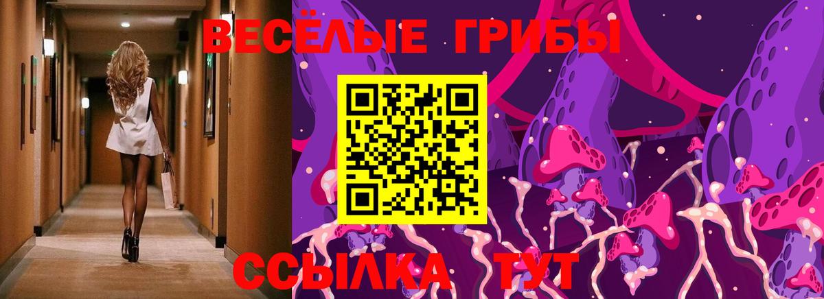 Псилоцибиновые грибы мухоморы Фролово